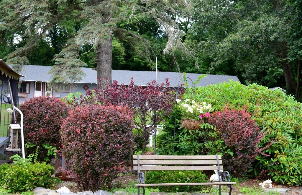 Round Lake Chamber Lane Motel المظهر الخارجي الصورة